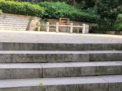 -广州市帽峰山景区
