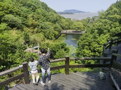 -桃花岛风景旅游区