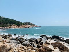 -广东惠东海龟国家级自然保护区