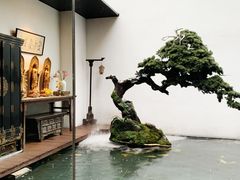 -觀芷隐轩