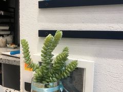-Something For(中洲湾店)