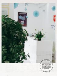 -痘庄·科学祛痘领跑品牌