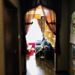 -归真美学颜究中心