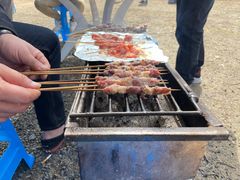 -梁鸿国家湿地公园