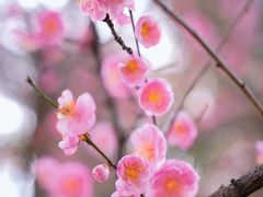 -望江楼公园