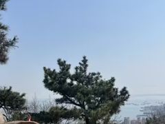 -石岛赤山风景区