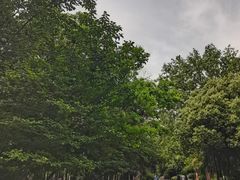 -大蜀山国家森林公园