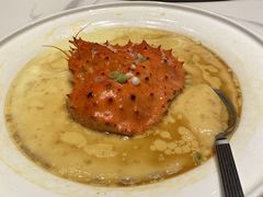 阿拉斯加长脚蟹黄蒸水蛋-稻香酒家·35年老字号(侨光店)