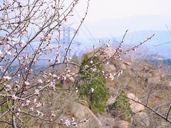 -北京凤凰岭