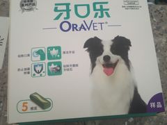 -爱侣宠医·鹦鹉专科·小型哺乳类·异宠专科(灵石路店)