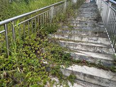 -西樵山国艺影视城