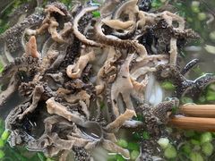 -攀枝花·任德琼·盐边羊肉米线