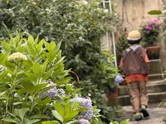 -看见远方·莫干遥远的山民宿