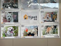 -翊宠yipet猫狗购宠庄园犬舍•猫舍