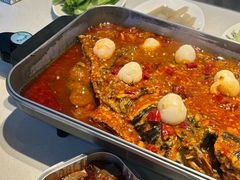 -鱼酷活鱼烤鱼(沈阳大悦城店)