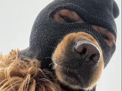 -海底捞火锅(莘松路店)