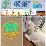 "萌果宠物互动乐园(中东新天地购物公园店"的全部点评-长春宠物-大众