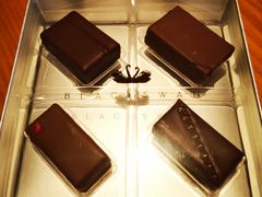 -BLACKSWAN黑天鹅(环球店)