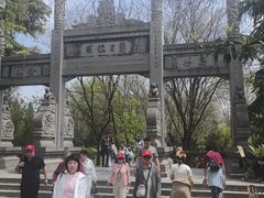 -神州牡丹园