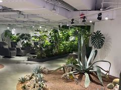 -银座mall(东直门店)