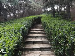 -北京张裕爱斐堡酒庄
