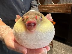 -永安鱼庄·镇江菜(东吴路店)