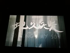 -百丽宫影城(CGS激光苏宁广场店)