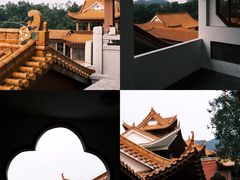 -深圳仙湖植物园