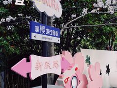 -高东镇樱花园