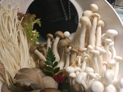 -洪氏嗨捞·猪肚鸡火锅(阳光天地店)