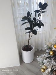 -HEYAN荷妍专业脱毛连锁机构