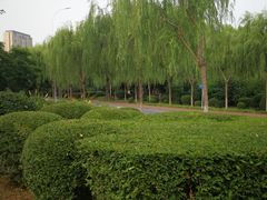 -长白岛森林公园