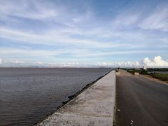 -大湾区中央湿地公园-十九涌