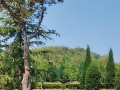 -洛阳古墓博物馆