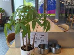 -Peet's 皮爷咖啡(望京小街店)