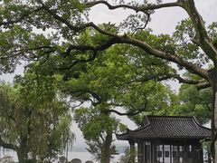 -杭州西湖柳莺里酒店·闻莺厅