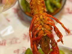-小田油焖小龙虾(双井店)