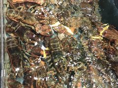 -龙宴海鲜城(经中路店)