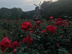-北京宽沟会议中心