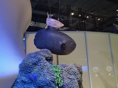 -中国（海南）南海博物馆