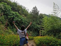 -远山有窑