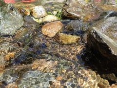 -碓臼峪自然风景区