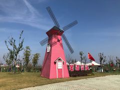 -洪湖湿地生态园