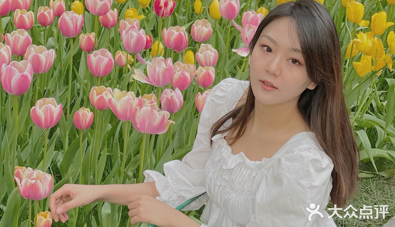 又到了一年一度和郁金香拍照的季节啦🌷