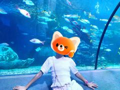 -太平洋海底世界