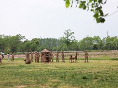 -杭州湾海上花田景区