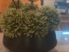 -鸽味轩·粤菜小馆(高楼门总店)