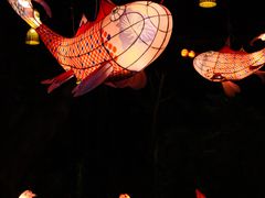 -东涌水乡风情街
