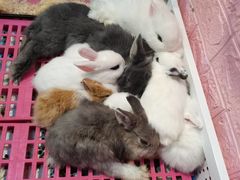 -三旗百汇商品城