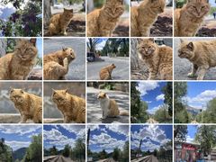 -鹫峰国家森林公园